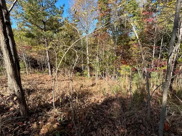 Blairsville, GA 30512,Lot 379 Marshall Rise Road