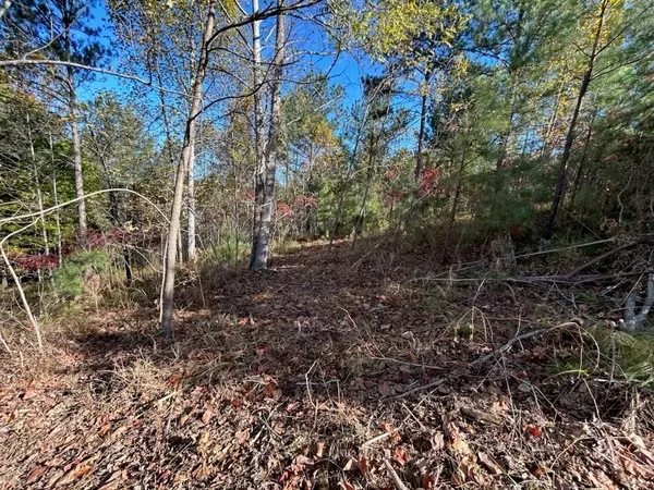 Blairsville, GA 30512,Lot 379 Marshall Rise Road