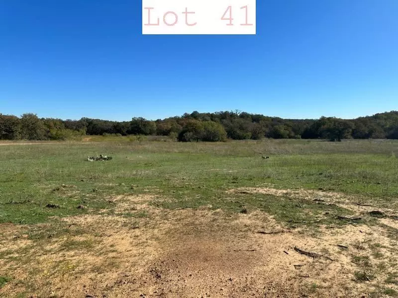 Santo, TX 76067,Lot 41 Sportsman Drive