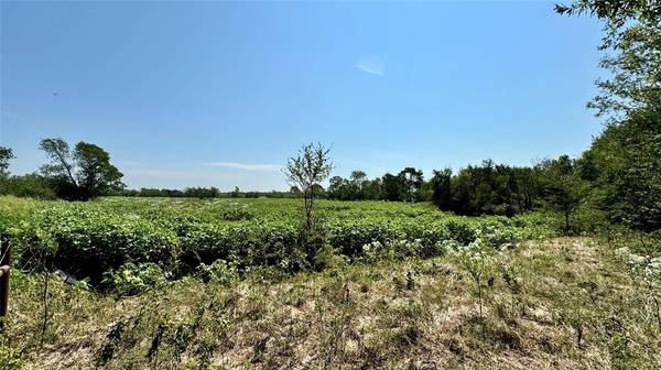 Terrell, TX 75161,000 County Road 136