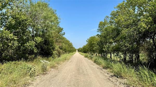 Terrell, TX 75161,000 County Road 136