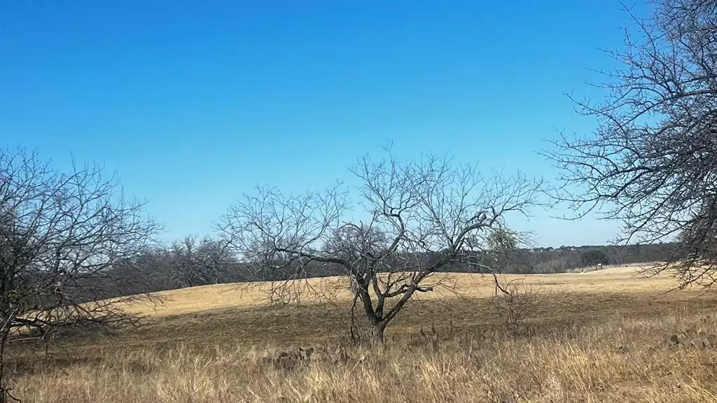 Brownwood, TX 76801,LOT 588 Crows Nest