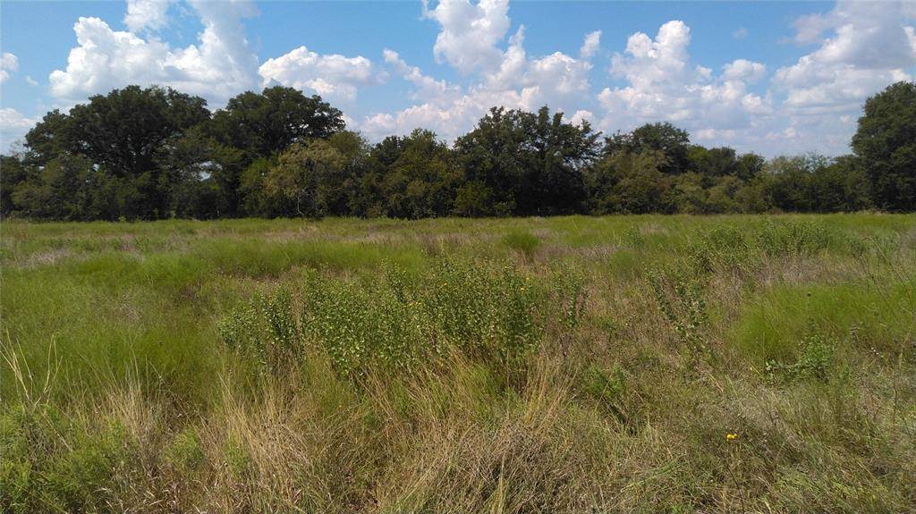 Carlton, TX 76436,TBD lot 44 Co RD 127