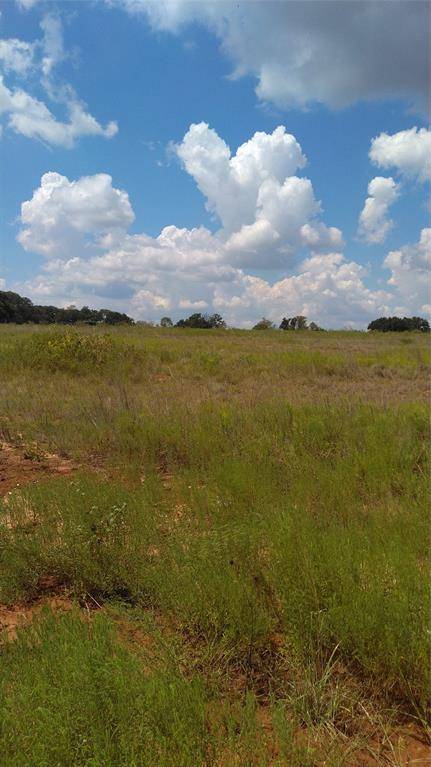 Carlton, TX 76436,TBD lot 44 Co RD 127