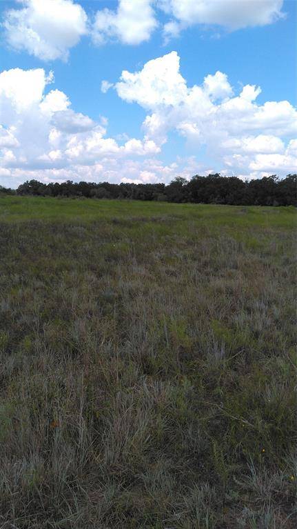 Carlton, TX 76436,TBD lot 44 Co RD 127