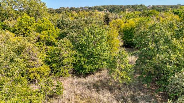 Springtown, TX 76082,TBD Valley Oak Court