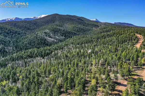 Divide, CO 80814,1100 Elk Ridge South