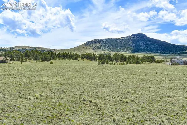 Guffey, CO 80820,74 Wrights LN