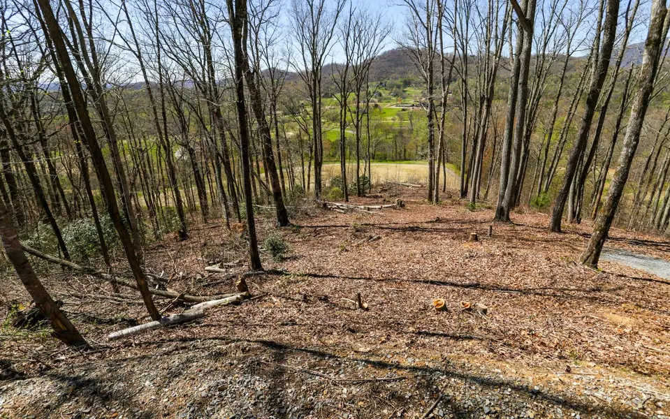 17M Ridges Overlook, Hayesville, NC 28904