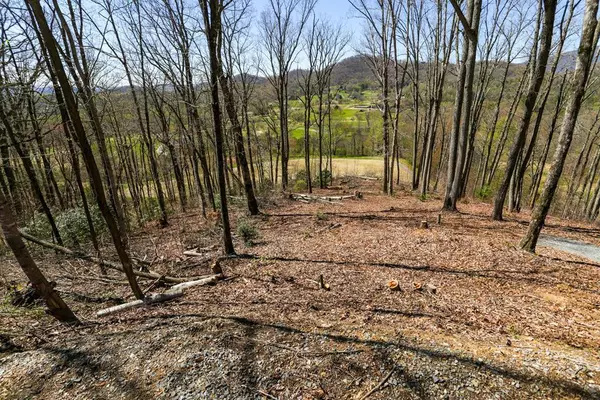 17M Ridges Overlook, Hayesville, NC 28904