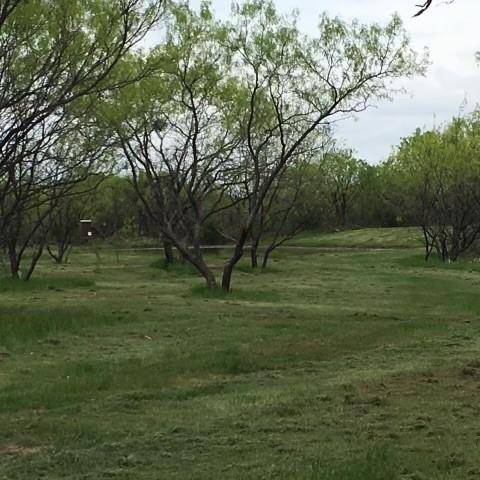 Carbon, TX 76435,573 County Road 412