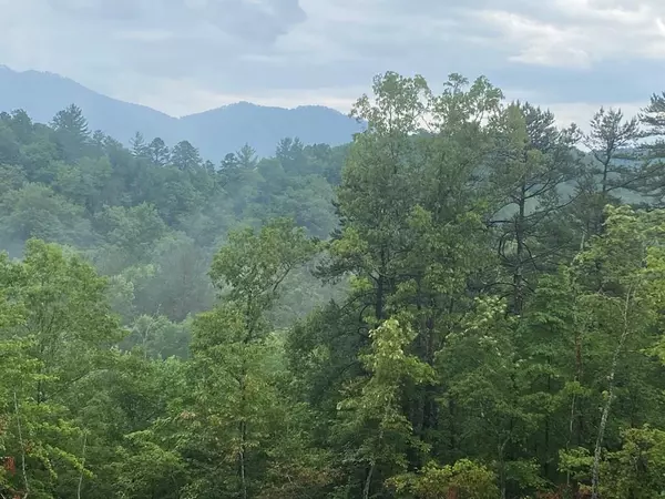 0 Julie Mountain Trail, Hayesville, NC 28904