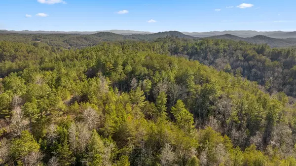 Turtletown, TN 37391,LOT 19 Skyline Drive