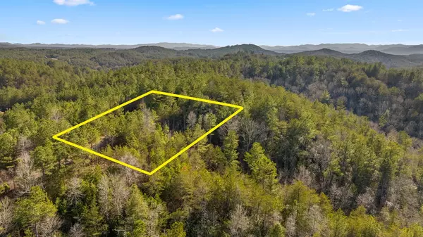 Turtletown, TN 37391,LOT 19 Skyline Drive