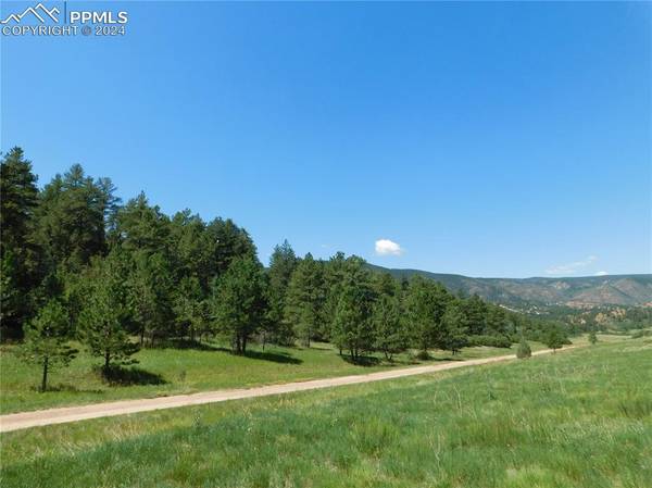 4668 Comanche DR, Larkspur, CO 80118