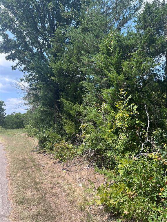 Sulphur Springs, TX 75482,TBD County Road 4574