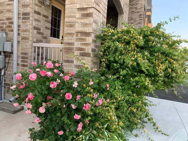 Brampton, ON L6P 0B5,24 Freedom Oaks TRL