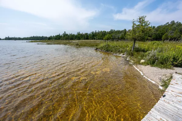 Northern Bruce Peninsula, ON N0H 2R0,864 Dorcas Bay RD