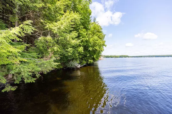 Muskoka Lakes, ON P0B 1J0,1213 Innisfree RD #Lot 1