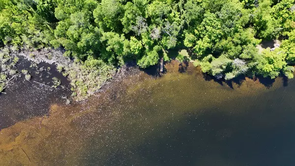 Haliburton, ON K0L 1X0,N/A Farquhar Lake DR