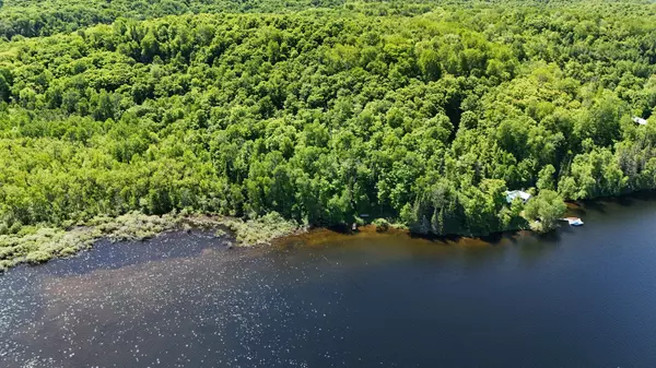 Haliburton, ON K0L 1X0,N/A Farquhar Lake DR