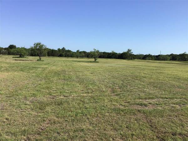 Whitney, TX 76692,1013 White Bluff Drive