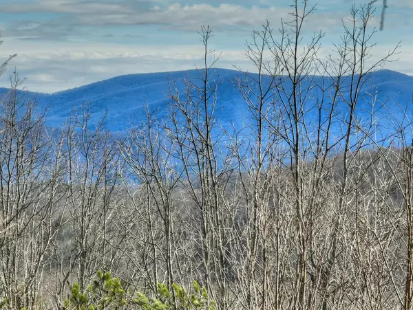 Cherry Log, GA 30522,494 Lower Prince Mountain Road