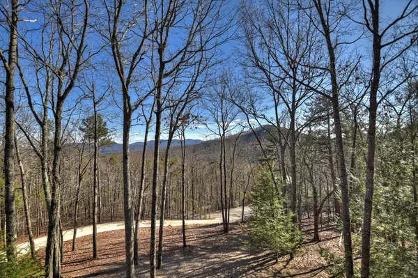 Cherry Log, GA 30522,494 Lower Prince Mountain Road