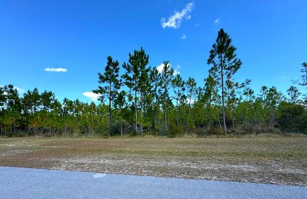 Lot 17 Wide Water Cir, Wewahitchka, FL 32465