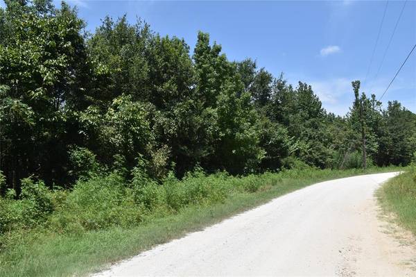 Palestine, TX 75801,TBD Private Road 6294