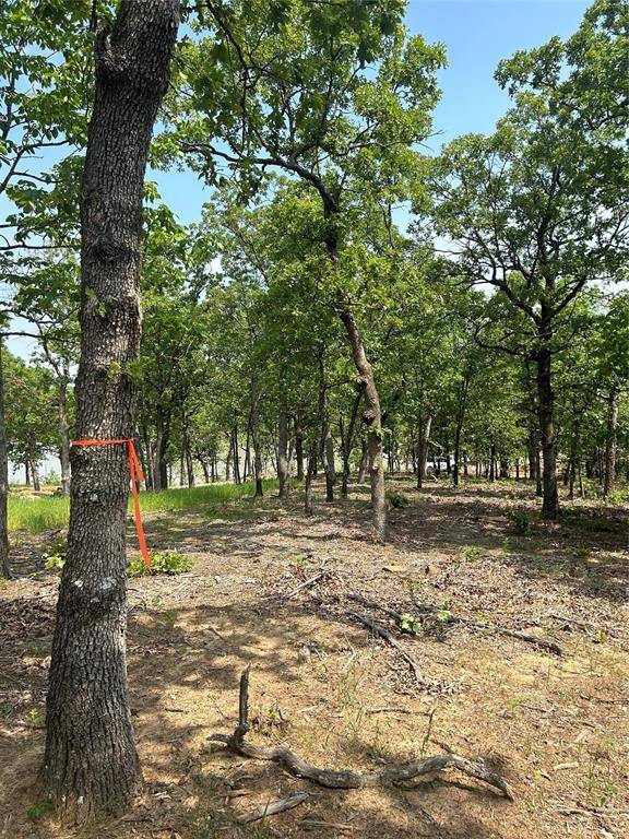 Lot 237 Patriot Pointe, Eufaula, OK 74432