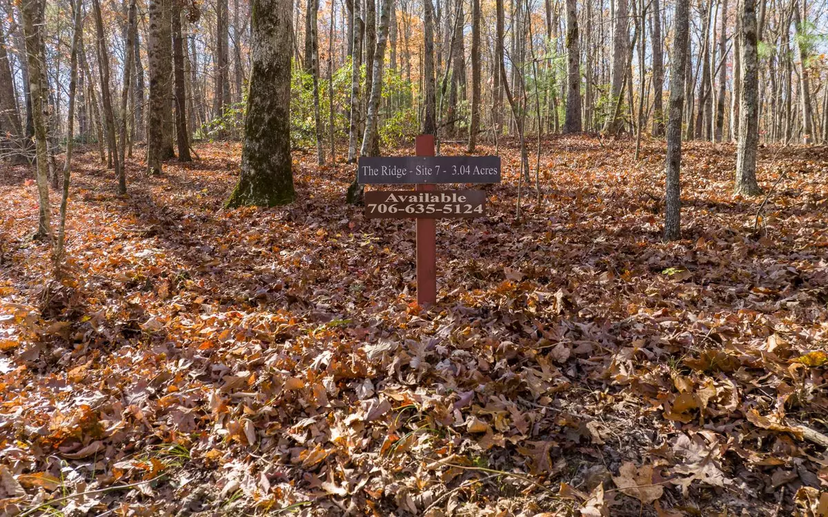 Ellijay, GA 30536,LOT 7 Joseph Anderson Trail