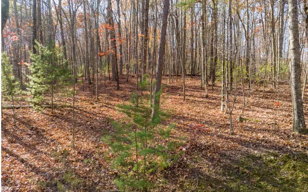 Ellijay, GA 30536,LOT 7 Joseph Anderson Trail