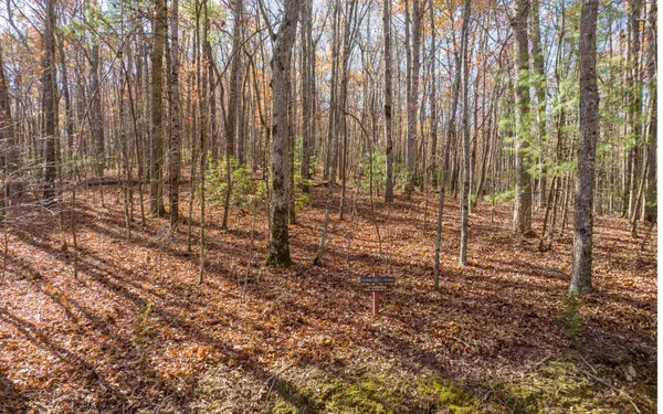 Ellijay, GA 30536,LOT 7 Joseph Anderson Trail