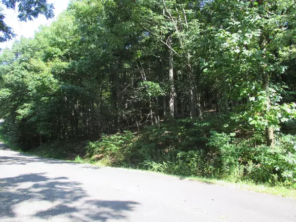 Jasper, GA 30143,Lot 83 Sunset Cliff Drive