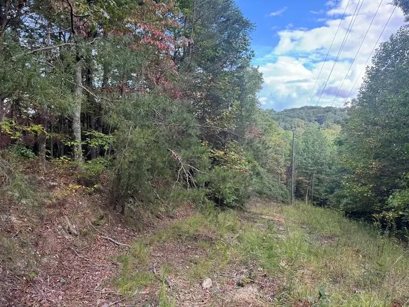 13.57 Ac Burnt Mountain Cove Road, Jasper, GA 30143