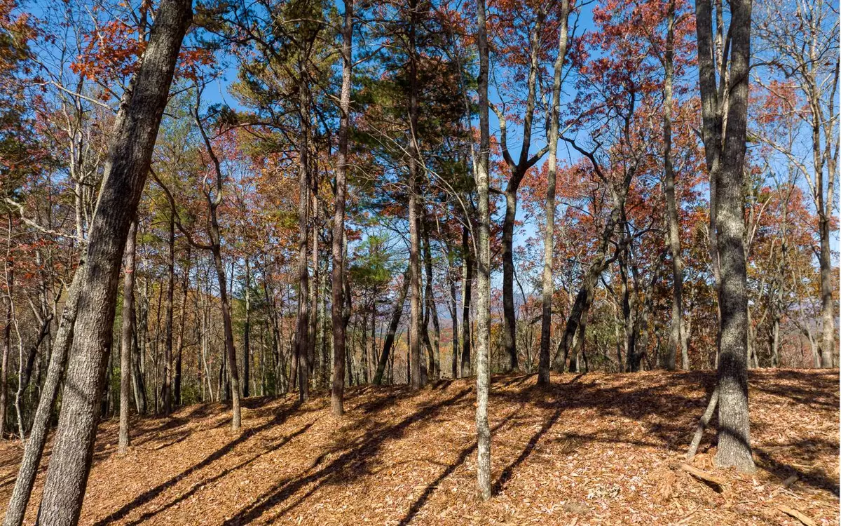 Ellijay, GA 30536,L40 Preserve Trail