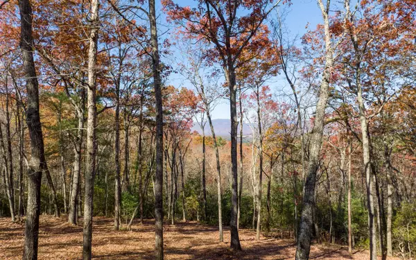 Ellijay, GA 30536,L40 Preserve Trail