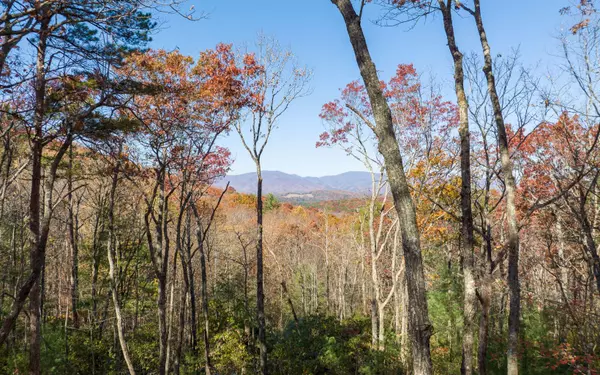 Ellijay, GA 30536,L40 Preserve Trail