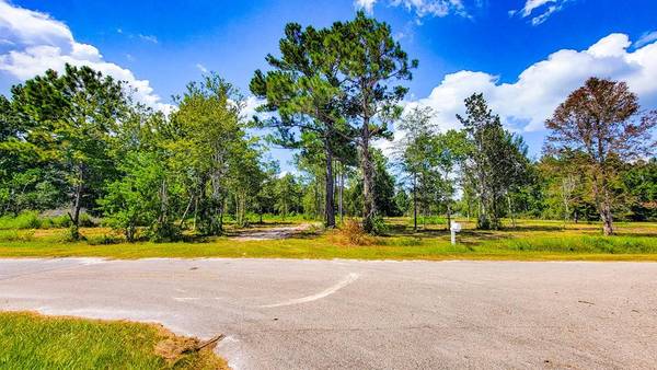 TBD Myers Rd, Wewahitchka, FL 32465