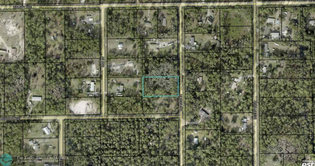 2128 Orange St, Bunnell, FL 32110