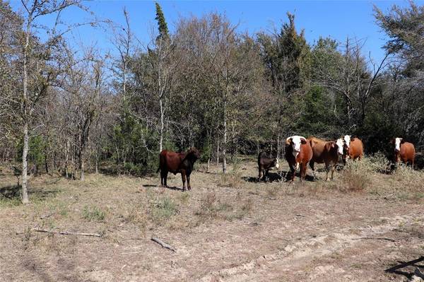 Sulphur Springs, TX 75482,Tract 1 Cr 4766