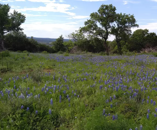 Fredericksburg, TX 76856,295 -- Cedar TRL