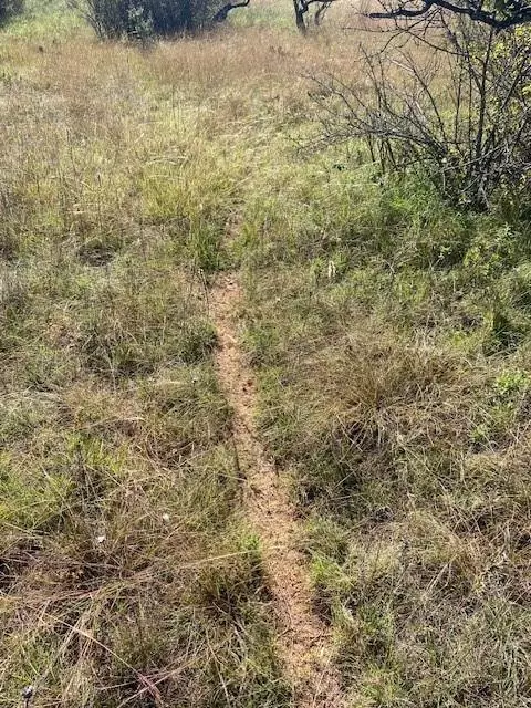 Cross Plains, TX 76443,TBD County Road 188