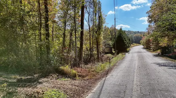 Ellijay, GA 30540,0 Whitepath Springs Road