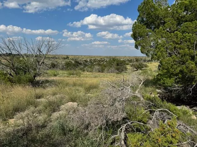 . Deer Run Rd, Ozona, TX 76943