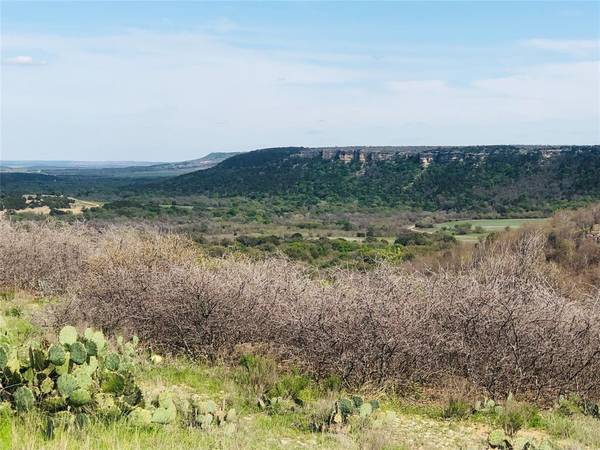 Lot 220 Oak Tree Drive, Possum Kingdom Lake, TX 76449