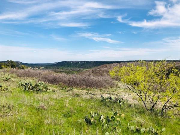 Possum Kingdom Lake, TX 76449,Lot 220 Oak Tree Drive