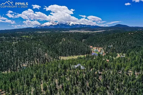 Woodland Park, CO 80863,4517 County Road 25