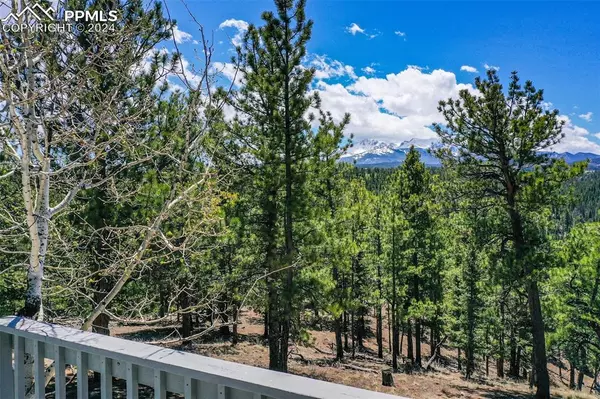 Woodland Park, CO 80863,4517 County Road 25